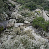 Photo de france - La randonnée du Mont Caroux